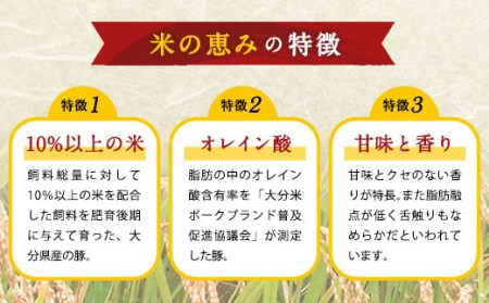 大分県産 ブランド豚「米の恵み」こま切れ 2kg (500g×4袋)