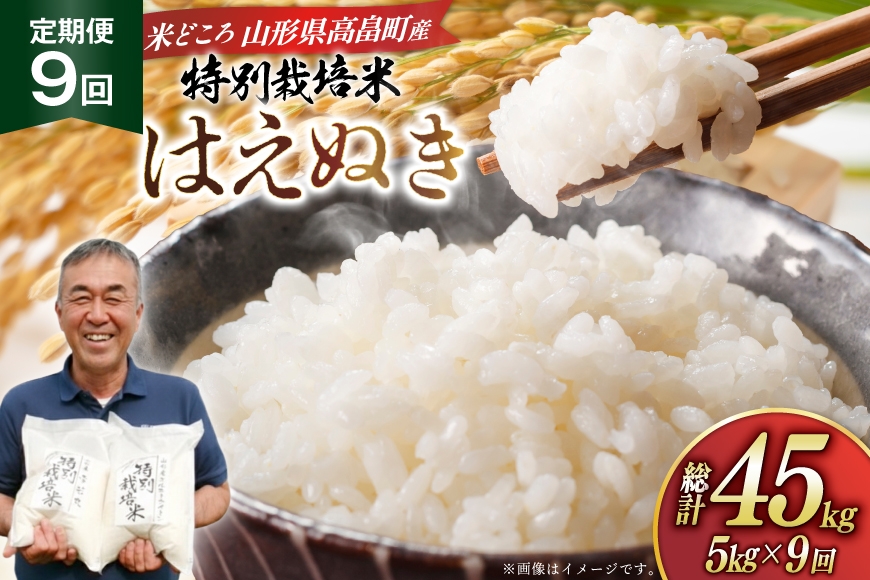 
                  米 定期便 9回 令和8年産 特別栽培米 はえぬき 5kg 9回 計45kg [渡部ファーム 山形県 高畠町 tk06ays810051] お米 白米 精米 ごはん ご飯 ブランド米
                