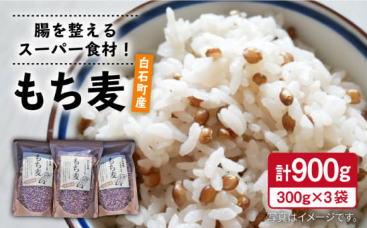 【腸内環境整える健康食品！】白石産もち麦900g 【道の駅しろいしカンパニー】[IAA003]