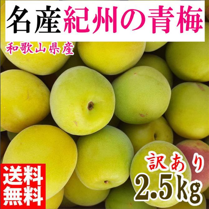 青梅 2.5kg 紀州南高梅 シロップ・梅酒・梅干し用など 和歌山県有田産 訳あり 2025年5月下旬～7月上旬発送予定