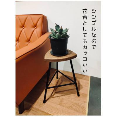ふるさと納税 和泉市 三角スツール【M】ナチュラル　(オーク+無垢アイアン)花台 |  | 02