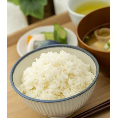 ふるさと納税 酒田市 山形県産　雪若丸5kg　令和7年産 |  | 02