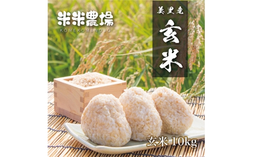 ＜令和7年産＞熊本県美里町のお米ヒノヒカリ玄米 10kg×1袋【1681373】