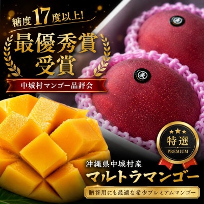 【2026年6月下旬から順次発送】マルトウマンゴーのプレミアム アップルマンゴー1kg【配送不可地域：離島】