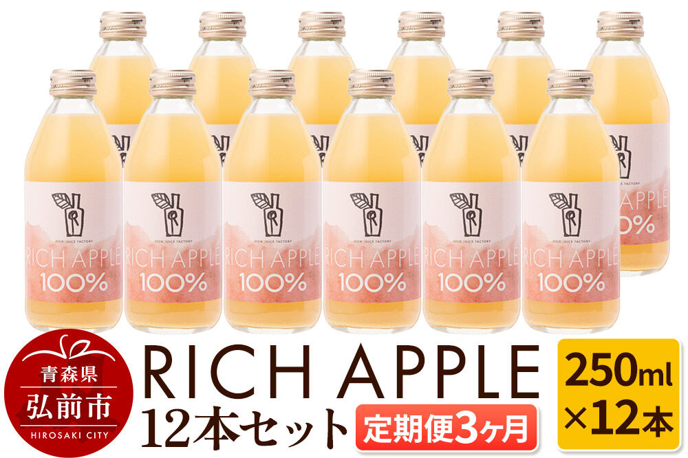 【定期便3ヶ月】RICH APPLE りんごジュース12本セット（250ml×12本×3回）【飲料類 果汁飲料】 [アップル おいしい ジュース セット セット品 りんご 飲料 果実 果物 置き場に困らない 定期発送 定期便 買い忘れ防止 美味 便利 林檎]