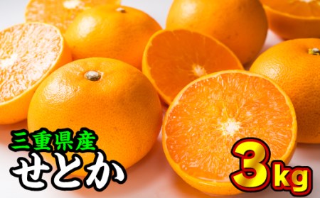 三重県産 せとか ３kg【出荷目安：２月下旬〜３月下旬】 II-58