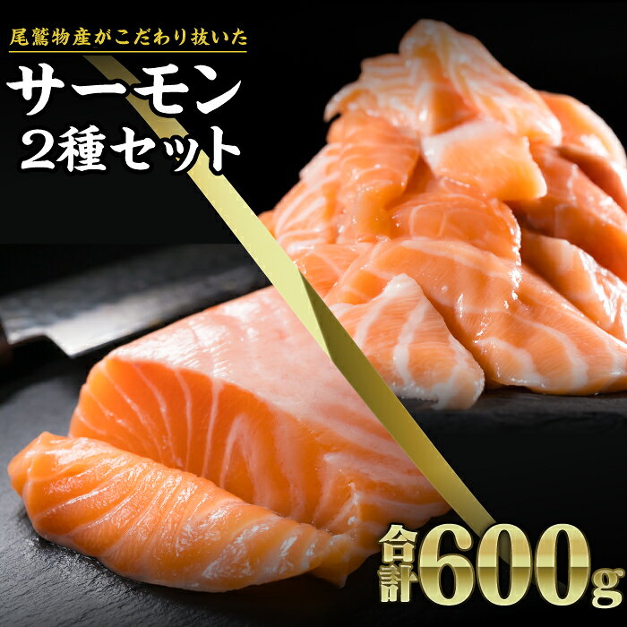 【ふるさと納税】サーモン ブロック&切り落とし600gセット 小分け 鮭 サーモン アトランティックサーモン さけ シャケ しゃけ sake カルパッチョ ソテー レアステーキ 人気 高級 大満足 生食用 刺身 お刺身 刺し身 魚介類 海鮮 冷凍 ob-f-22