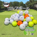 【ふるさと納税】 ゴルフ ボール 20球 セット 中古 ロストボール SRIXON スリクソン 訳あり WRランク ゴルフボール 6000円 10000円以下 1万円以下