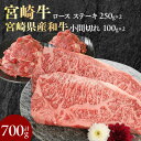 【ふるさと納税】宮崎牛 ロース ステーキ 250g×2 宮崎県産和牛小間切れ 100g×2 計700g ミヤチク 国産