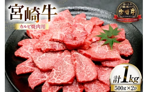 牛肉 宮崎牛 カルビ 焼肉用 500g 2p 計 1kg [ローカルブランディング 宮崎県 日向市 452061522] 冷凍 小分け 黒毛和牛 黒毛 A4 A5 焼肉 焼き肉 BBQ バーベキュー 国産