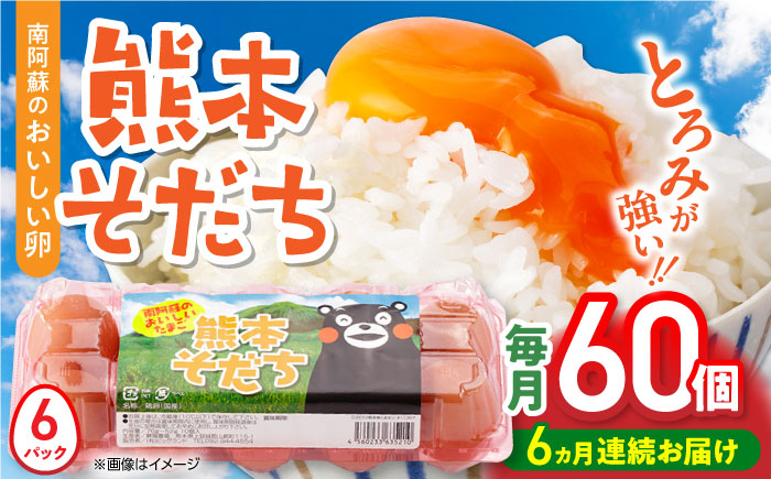 【全6回定期便】熊本県産 熊本そだち 60個入り ( 10個入り × 6パック ) 山都町 たまご 卵【蘇陽農場】 [YBE035]