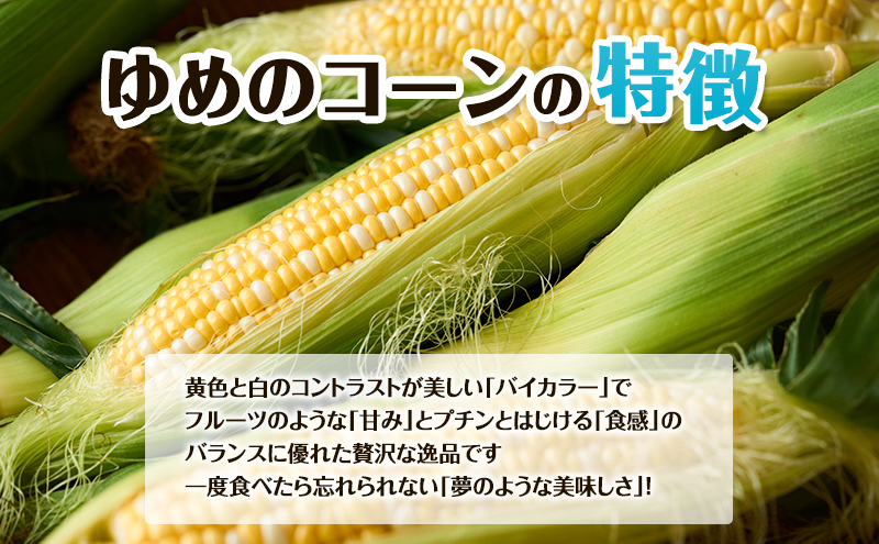【2026年夏出荷】富良野産 とうもろこし ゆめのコーン 5本 L～LLサイズ 野菜 新鮮 直送 コーン とうきび 道産 北海道 幕田農園