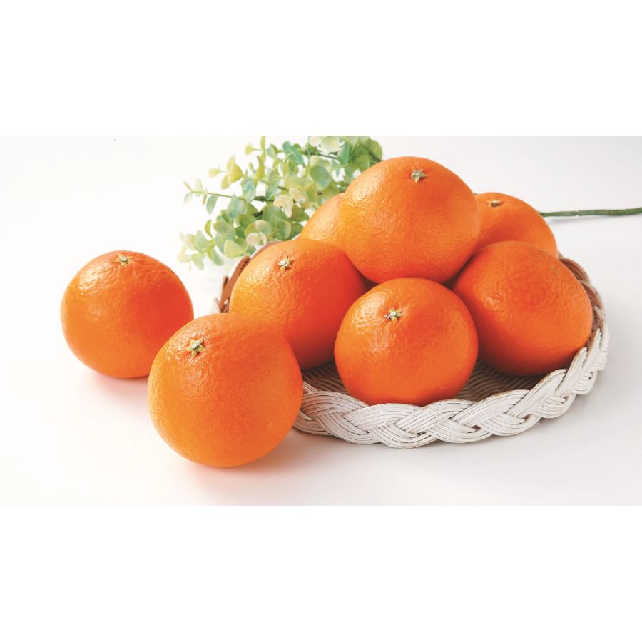 「紅まどんな」5kg（14個～24個）