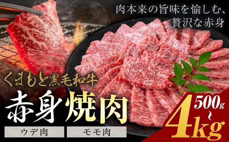 黒毛和牛 赤身 ウデモモ 焼肉  500g 1kg 2kg 4kg《30営業日以内に出荷予定(土日祝除く)》熊本県 氷川町 牛 牛肉 和牛 ブランド牛---hkw_26_lcl_407_500g---