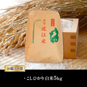 令和7年産 新米 白米 5kg こしひかり 精米 近江米 コシヒカリ 国産 お米 米 おこめ ごはん ご飯 白飯 しろめし こめ ゴハン 御飯 滋賀県産 竜王 ふるさと ランキング 人気 おすすめ