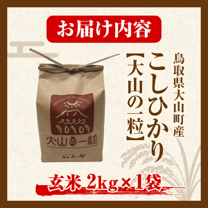 MS-105 大山町産こしひかり【大山の一粒】２ｋｇ（玄米）