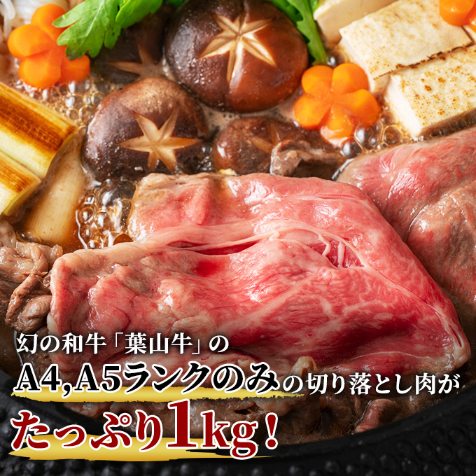 【 ふるさと納税 】 葉山牛 特上 切り落とし 1kg すき焼き 焼肉 冨士屋牛肉店 バーベキュー 箱入り 贈答  お中元 ギフト 小分け 使い切り A5  黒毛和牛 神奈川県 【 逗子市 】