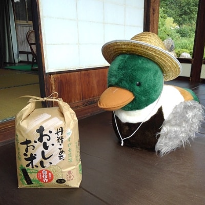 カモしゃん米　玄米5kg