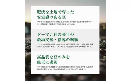 【豆】#902 タンザニア・キリマンジャロ キゴマ キボー ディープブルー AA コーヒー豆 310g 当日焙煎 大山珈琲