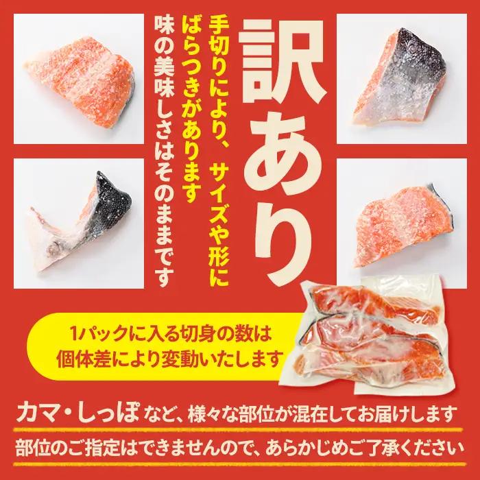 鮭 切身 訳あり 1kg  銀鮭 【ho1680】
