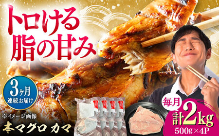 【全3回定期便】対馬産 本マグロ カマ 2kg ≪対馬市≫【桐谷商店】 トロの華 対馬 新鮮 マグロ かま 鮪[WAQ104]