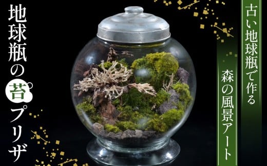 地球瓶の苔プリザ ／ アート 作品 自然 埼玉県 No.357