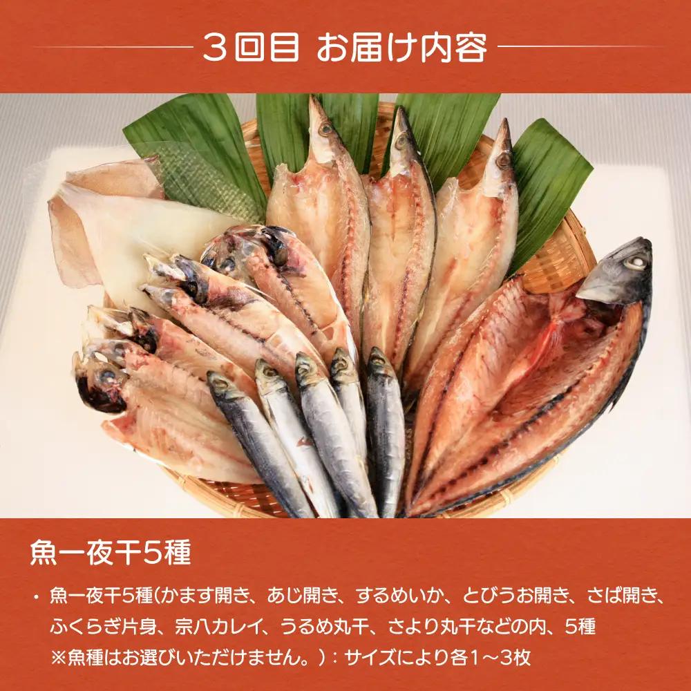 【6ヶ月連続お届け】氷見堀与 一夜干・昆布〆刺身と山海の幸＜氷見鰤・ほたるいか・のどぐろ入＞ 富山県 氷見市 干物 詰め合わせ 魚介類 富山県 氷見市 干物 詰め合わせ 魚介類