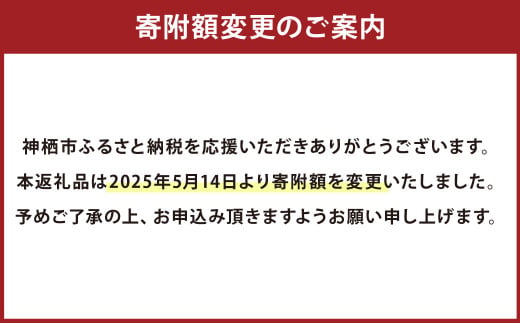 【3ヶ月定期便】濃厚プレミアム！！吉原たまご2箱 30個入り×2箱 計60個（54個＋割れ保証6個） 卵 たまご