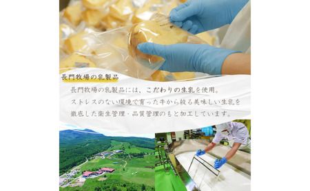 長門牧場薄皮どらやき＆アイスクリームセットD-6　人気スイーツ　濃厚ミルク　直送　牛乳　生乳　国産　夏ギフト　長野県　贈答品　お土産　お中元　お歳暮　クリスマス