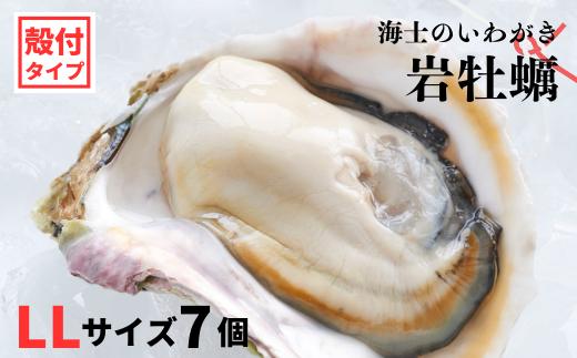 【のし付き いわがき 殻付きLLサイズ 7個】岩牡蠣 生食可 冷凍 牡蛎 牡蠣 かき カキ 岩牡蠣 いわがき 冷凍 父の日 母の日 バーベキュー ギフト