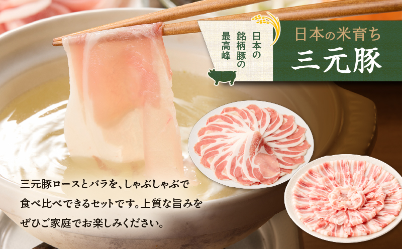 【全12回 毎月定期便】日本の米育ち平田牧場 三元豚ロース 250g・バラしゃぶしゃぶロース 250g　T036-T02-03