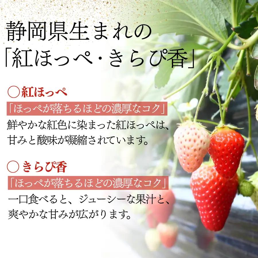 【先行予約＿2027年出荷分】いちご 厳選いちご 280g×4パック