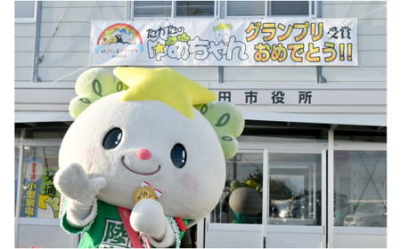 マスいくら醤油漬け 800g(小分け2パック×2箱) 鱒 いくら 海鮮 寿司 人気