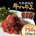 【ふるさと納税】べこ政宗『牛ハラミ たれ仕込み』750g (250g×3)｜牛肉 焼肉用 冷凍 小分け 焼肉 BBQ 味付き 家計応援 焼くだけ [0219]