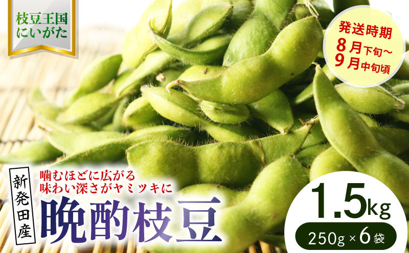 
            晩酌のお供におすすめ！ 晩酌茶豆 1.5kg 【 数量限定 1.5kg 晩酌茶豆 茶豆 枝豆 先行予約 新潟産 ビール 株式会社せいだ 新潟県 新発田市 seida023 】
          