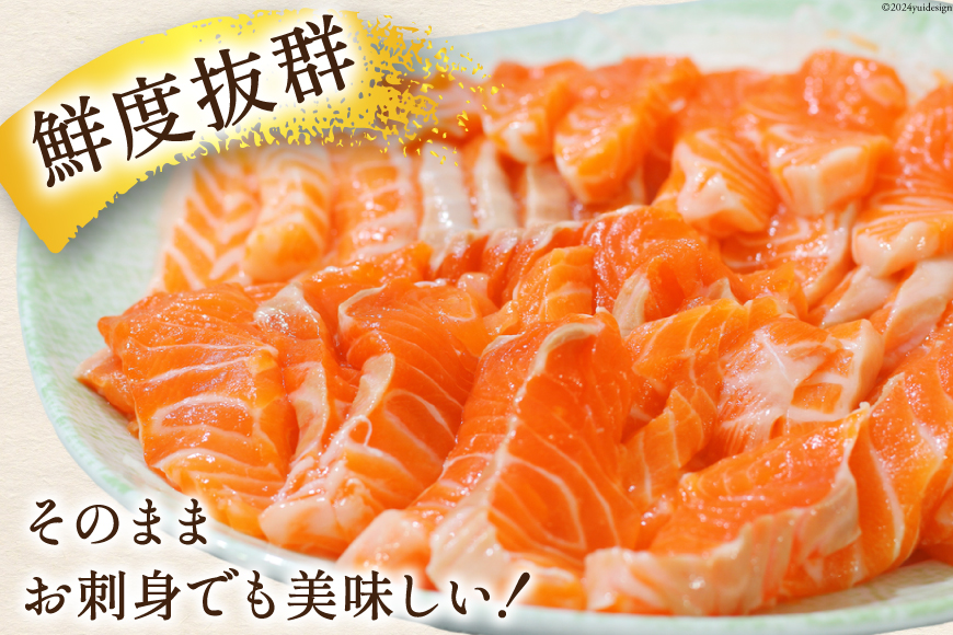 訳あり トロサーモン 切り落とし 1kg (125g×8p) [足利本店 宮城県 気仙沼市 20565168] 魚介類 魚 サーモン 海鮮 鮭 トロ お刺し身 おさしみ 刺し身 刺身 チリ銀鮭 銀鮭 無添加 個包装 小分け 冷凍 訳アリ わけあり