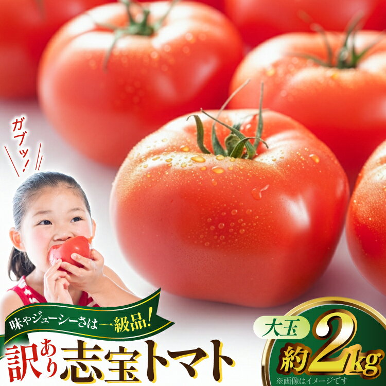 【ふるさと納税】 【 訳あり 】志宝トマト 大玉 約 2kg [モアショップヤマモト 石川県 宝達志水町 38601138] トマト とまと 不揃い 規格外 野菜 食品 石川県産 レビューキャンペーン