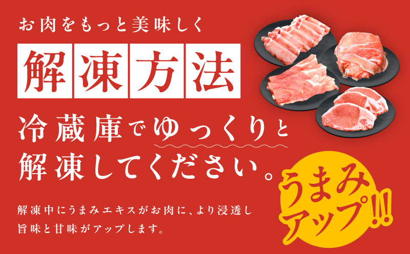 国産 豚肉 4種 総量 1.2kg【300g×4P 氷温熟成×極味付け 小分け ぶたにく 普段使い 野菜炒め 大阪 泉佐野 大阪府 泉佐野市】