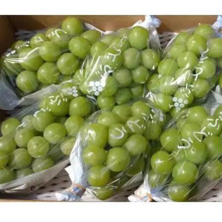 長野県中野市産ぶどう・シャインマスカット秀品 3kg箱 4～7房入り【配送不可地域：離島】【1494261】