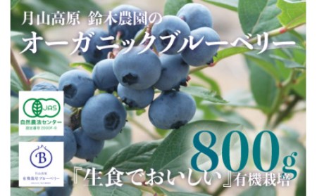 【令和7年産先行予約】月山高原のオーガニックブルーベリー(大粒・800g)　K-751