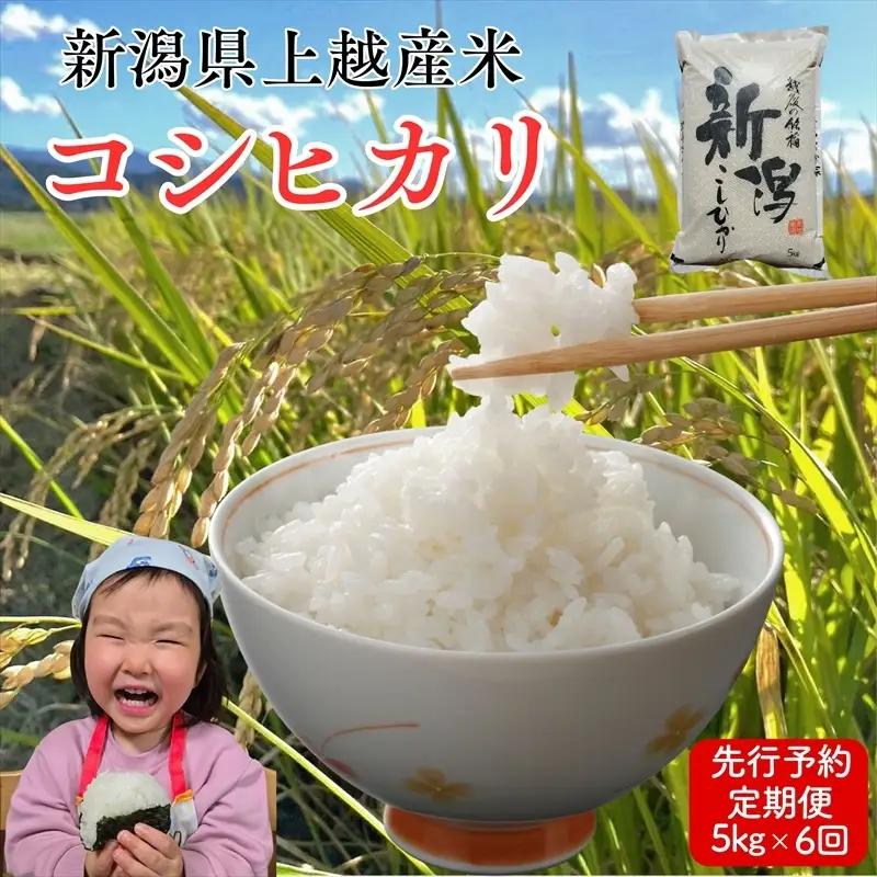 令和8年産 先行予約 新潟県上越市産 コシヒカリ 5kg×6回 計30kg 30キロ 定期便 新米 精米 米 新潟県産 こしひかり 限定 おすすめ 米ヴィレッジさんわ