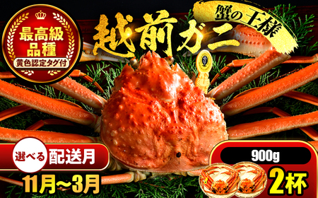 【先行予約/11月7日より順次発送】【希望月指定可】 越前がに 900ｇ×2ハイ  / 蟹 ズワイガニ ずわいがに ボイル 冷蔵 小浜市 / まるほ商店 【配送不可地域：北海道・沖縄・離島】[BFCS028]