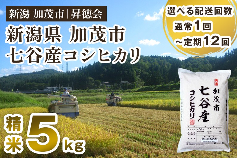 
                  【令和7年産】【選べる配送回数】新潟県加茂市 七谷産コシヒカリ 精米5kg 定期便 隔月便 白米 高柳地域産数量限定 昇徳会
                