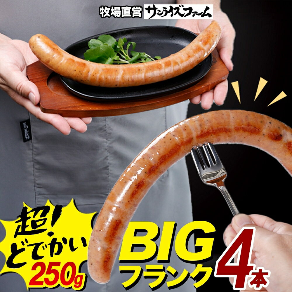 【ふるさと納税】BIGバリューフランク 4本セット 25cm 豚肉 フランクフルト ウィンナー ビッグサイズ 大きい 肉厚 ジューシー 夕食 ご飯 おかず おつまみ バーベキュー BBQ 送料無料 サンライズファーム 千葉県 香取市 SRF002
