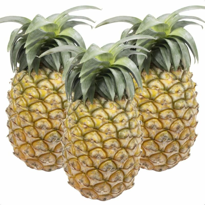 【ふるさと納税】＜先行予約＞ 石垣島産パイナップル 島パイン・ハワイ種 約2.8kg(2～4玉) | 沖縄県 石垣市 石垣島 南国 フルーツ 果物 季節限定 パインン 株式会社ケレス沖縄 E-061