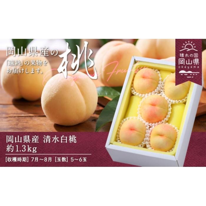 【ふるさと納税】桃 2026年 岡山県産 清水白桃 約1.3kg 5～6玉（クール便） | フルーツ 果物 くだもの 食品 人気 おすすめ 送料無料