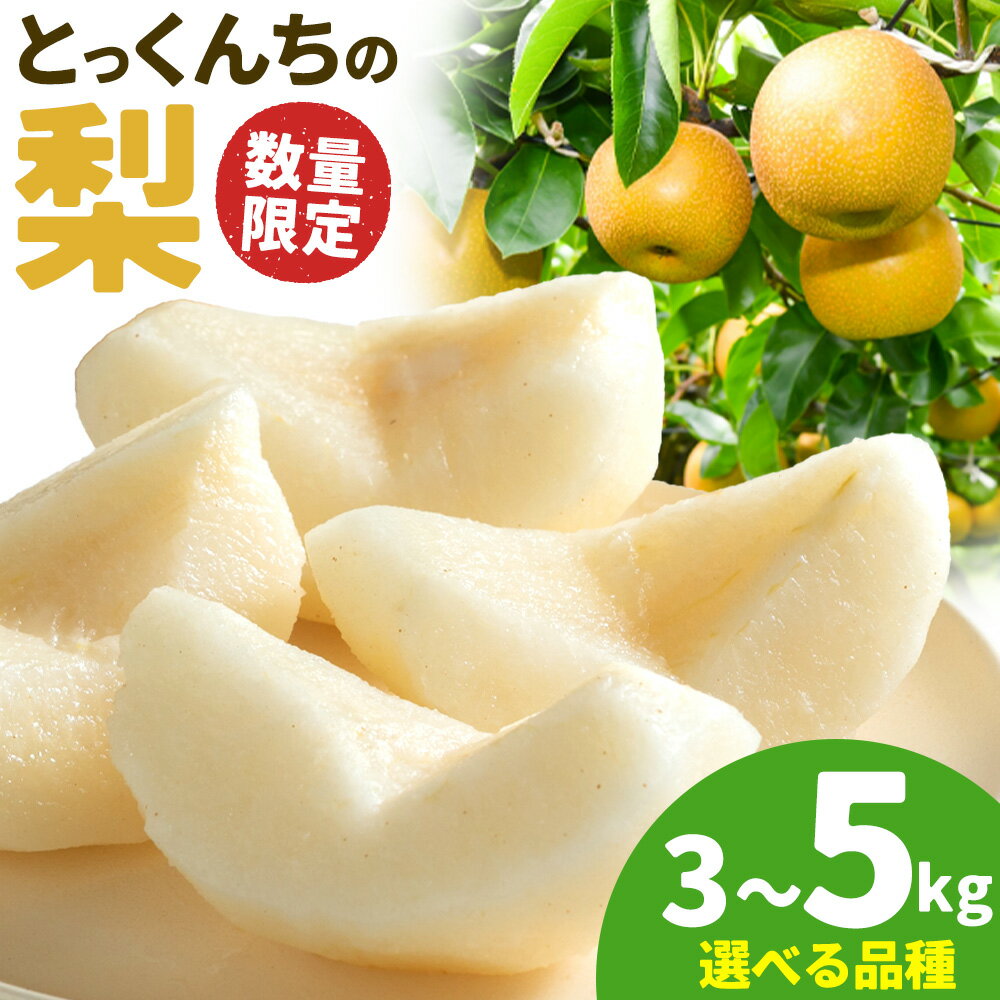 【ふるさと納税】【2026年先行予約】とっくんちの梨 選べる 品種 幸水 豊水 あきづき にっこり 約3kg 約5kg 鈴木農園《8月上旬-10月中旬頃出荷(品種による)》茨城県 結城市 数量限定 果物 フルーツ 甘み ジューシー 豊か 芳香 しゃりっ 爽やかな 季節【配送不可地域あり】