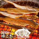 【ふるさと納税】氷下魚 こまい 乾物 100g×4個セット ｜すぐ 届く 珍味 おつまみ かんかい カンカイ 北海道 釧路町 ワンストップ特例制度 オンライン