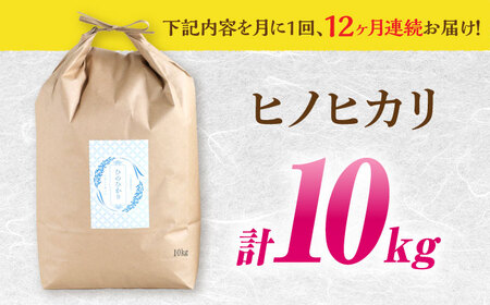 【南島原市産ヒノヒカリ】10kg×12回 定期便 / ひのひかり 米 お米 こめ コメ 精米 / 南島原市 / 林田米穀店 [SCO007]