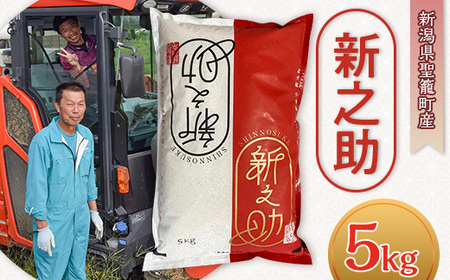 新潟県聖籠産 新之助 精米5kg（丸傳耕農）